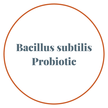 Bacillus subtilis Probiotic