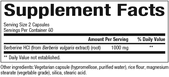 WellBetX Berberine 500 mg Supplement Facts Label