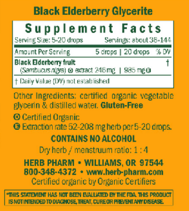 Kids Black Elderberry Alcohol Free Supplement Facts Label