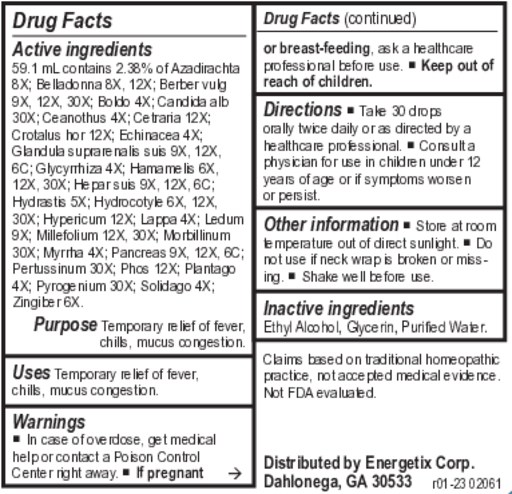 Bacteria-Chord Supplement Facts Label