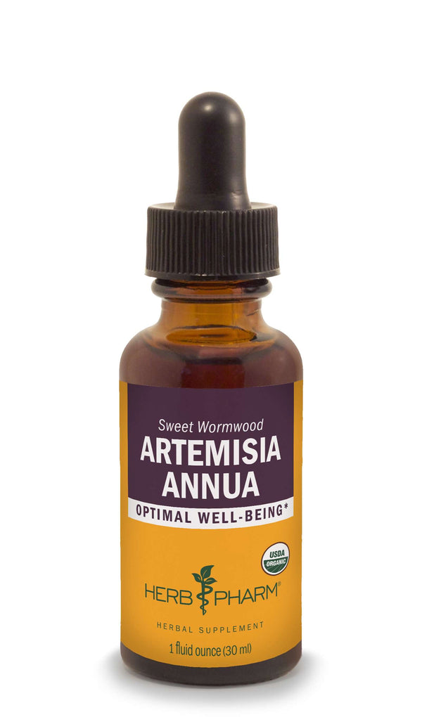 Artemisia annua 1oz | Herb Pharm