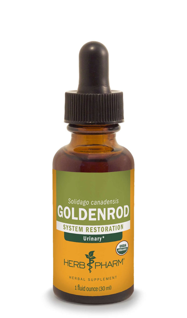 Goldenrod 1oz | Herb Pharm