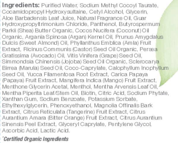 Wash Day Curl Shampoo Supplement Facts Label