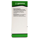 buy acer campestre unda