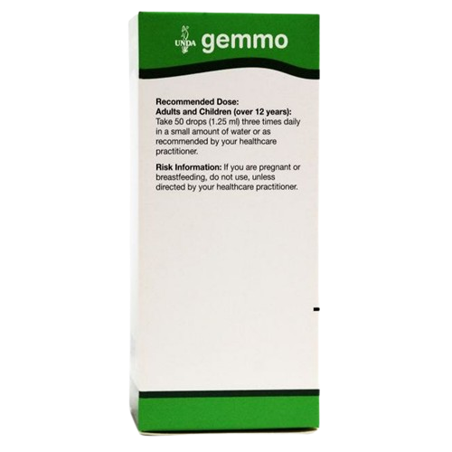 buy acer campestre unda