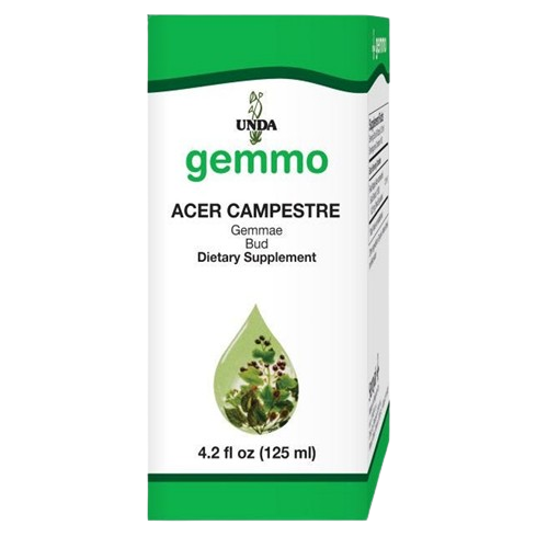 acer campestre unda