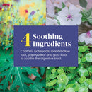 acid soothe enzymedica