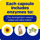 allerase enzymedica