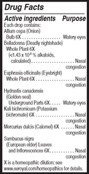 buy allium cepa plex unda