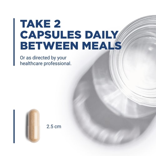 american ginseng extract vital nutrients suggested use