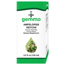 ampelopsis veitchii unda