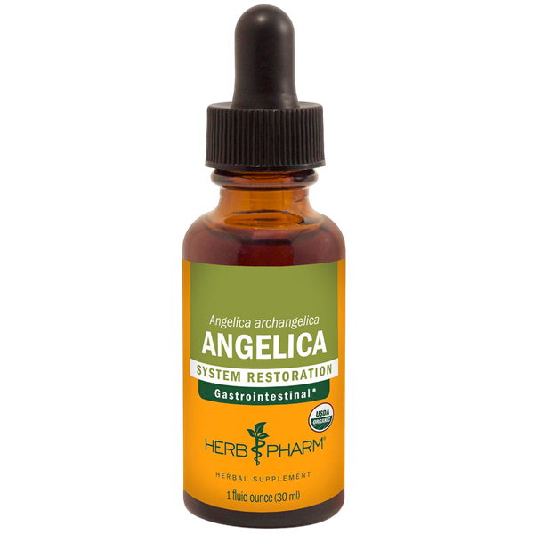 angelica herb pharm