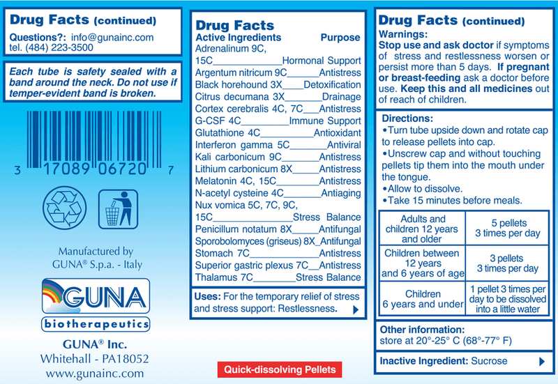 anti age stress guna inc. drug facts