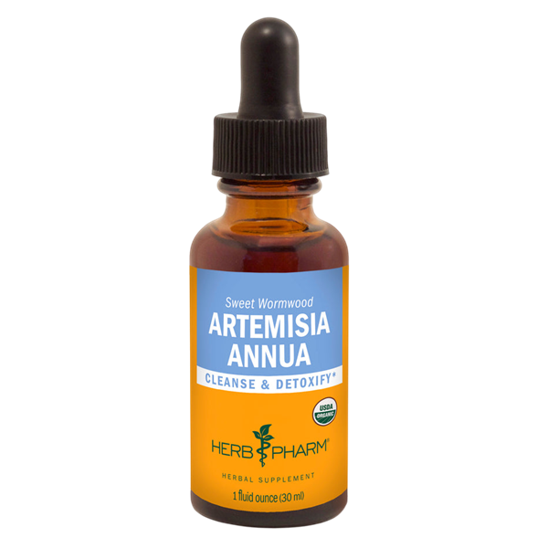 artemisia annua herb pharm