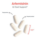 artemisinin | GI tract support
