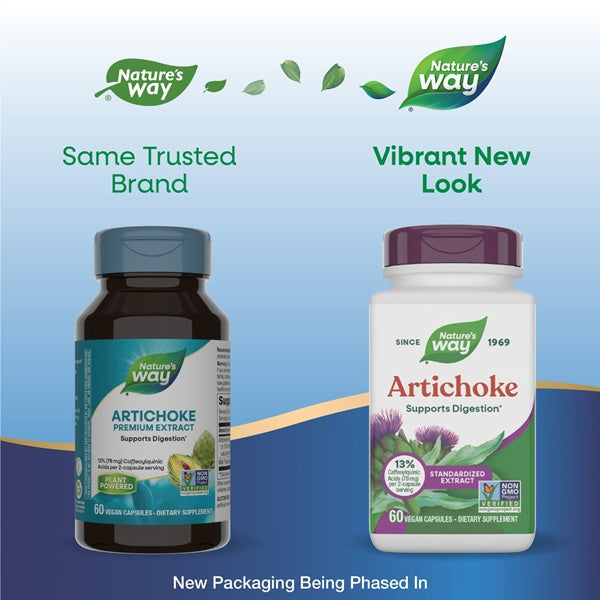 buy artichoke capsules nature's way