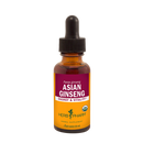 asian ginseng | panax ginseng (herb pharm)