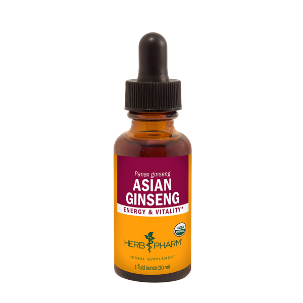 asian ginseng | panax ginseng (herb pharm)