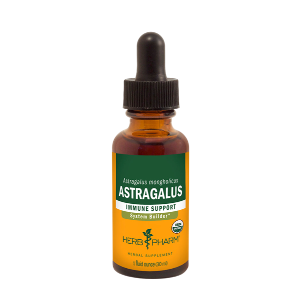astragalus (herb pharm)