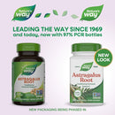 buy astragalus root nature's way