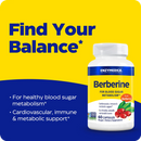 berberine enzymedica