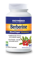 berberine enzymedica