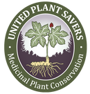 berberine enzymedica