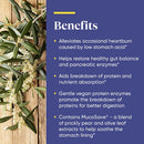 betaine hcl enzymedica