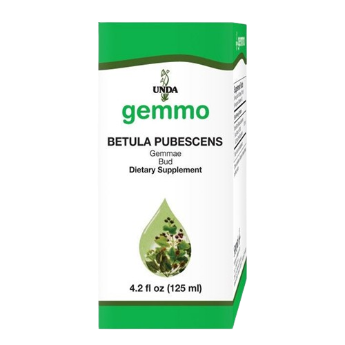 betula pubescens bud unda