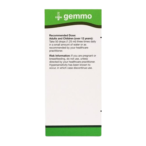 betula pubescens bud