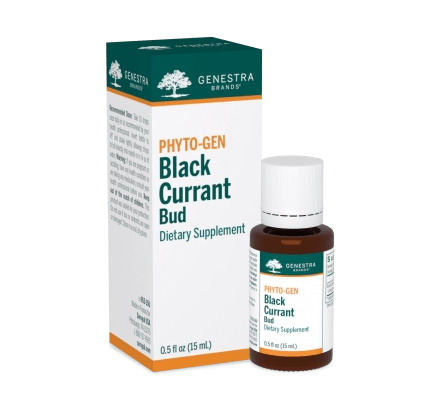 black currant bud genestra