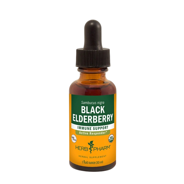 black elderberry herb pharm