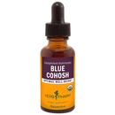 blue cohosh (herb pharm)