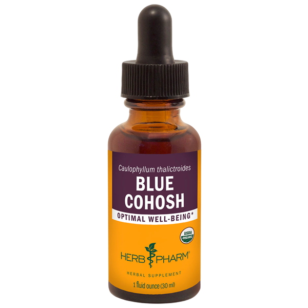 blue cohosh (herb pharm)