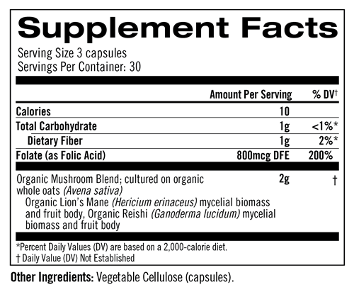 brain fuel (om mushrooms) supplement facts