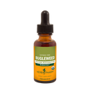 bugleweed (herb pharm)