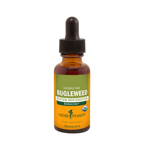 bugleweed (herb pharm)