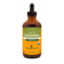 bugleweed (herb pharm)