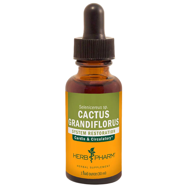 cactus grandiflorus (herb pharm)