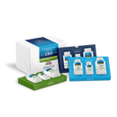 candida & bacterial optimizer (cbo) protocol (equilife)