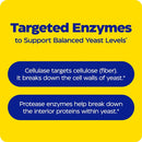 candidase enzymedica