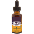 celandine (herb pharm)