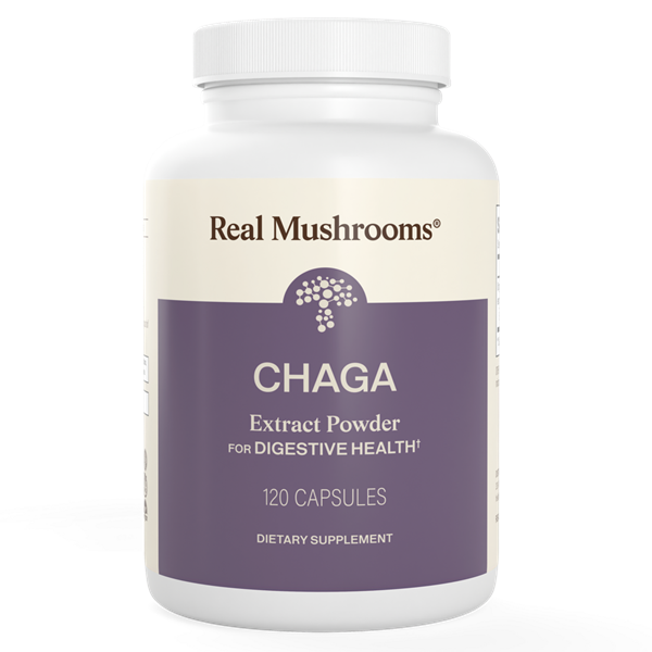 chaga extract capsules (real mushrooms)