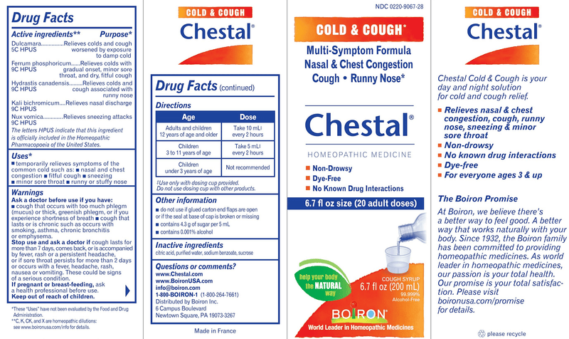 Chestal Adult Cough & Cold (Boiron) label