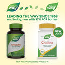 buy choline tablets nature's way