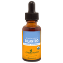 cilantro (herb pharm)