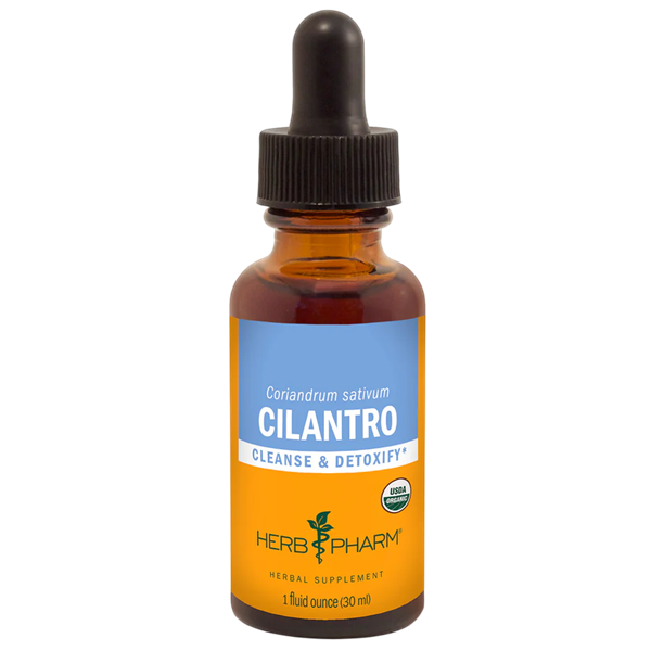 cilantro (herb pharm)