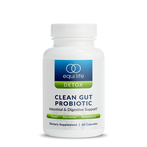 Clean Gut Probiotic (EquiLife)