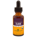 clove (herb pharm)