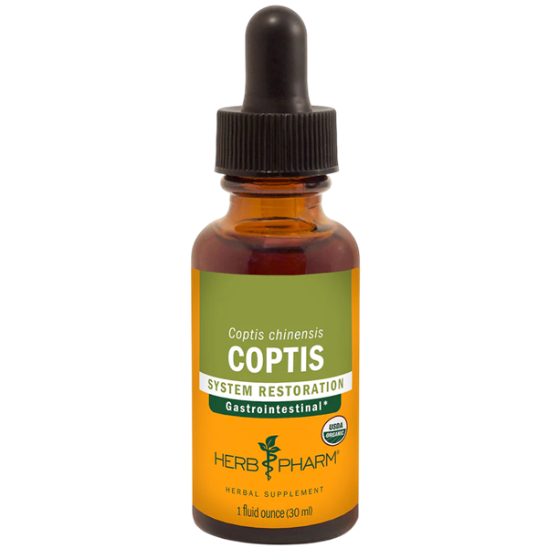 coptis (herb pharm)